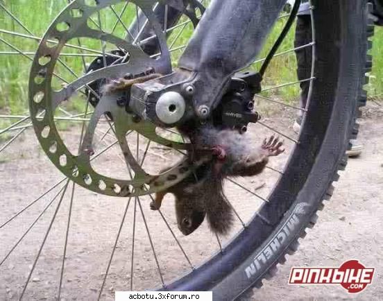 eu nu sunt....ca stau si o frec acasa si am nevoie de bani sa bag in bike:(:(:( sunteti multumiti de